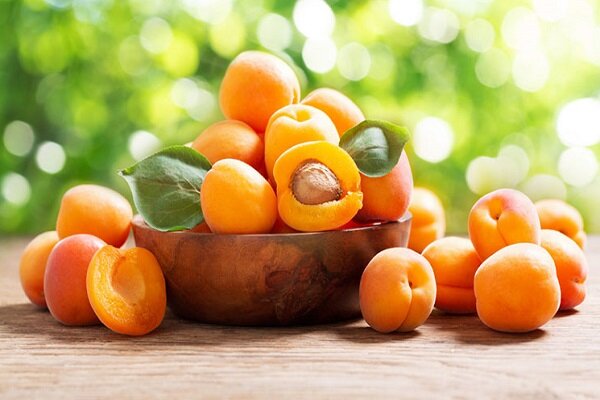 خواص شگفت انگیز هسته زردآلو