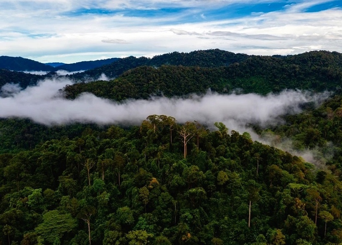 تفال به حافظ دوشنبه ۲۵ فروردین ۱۴۰۴؛‌ ای نسیم سحر آرامگه یار کجاست...