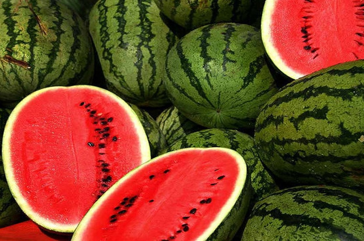 فیلم| شیوه رنگ کردن هندوانه برای فروش!