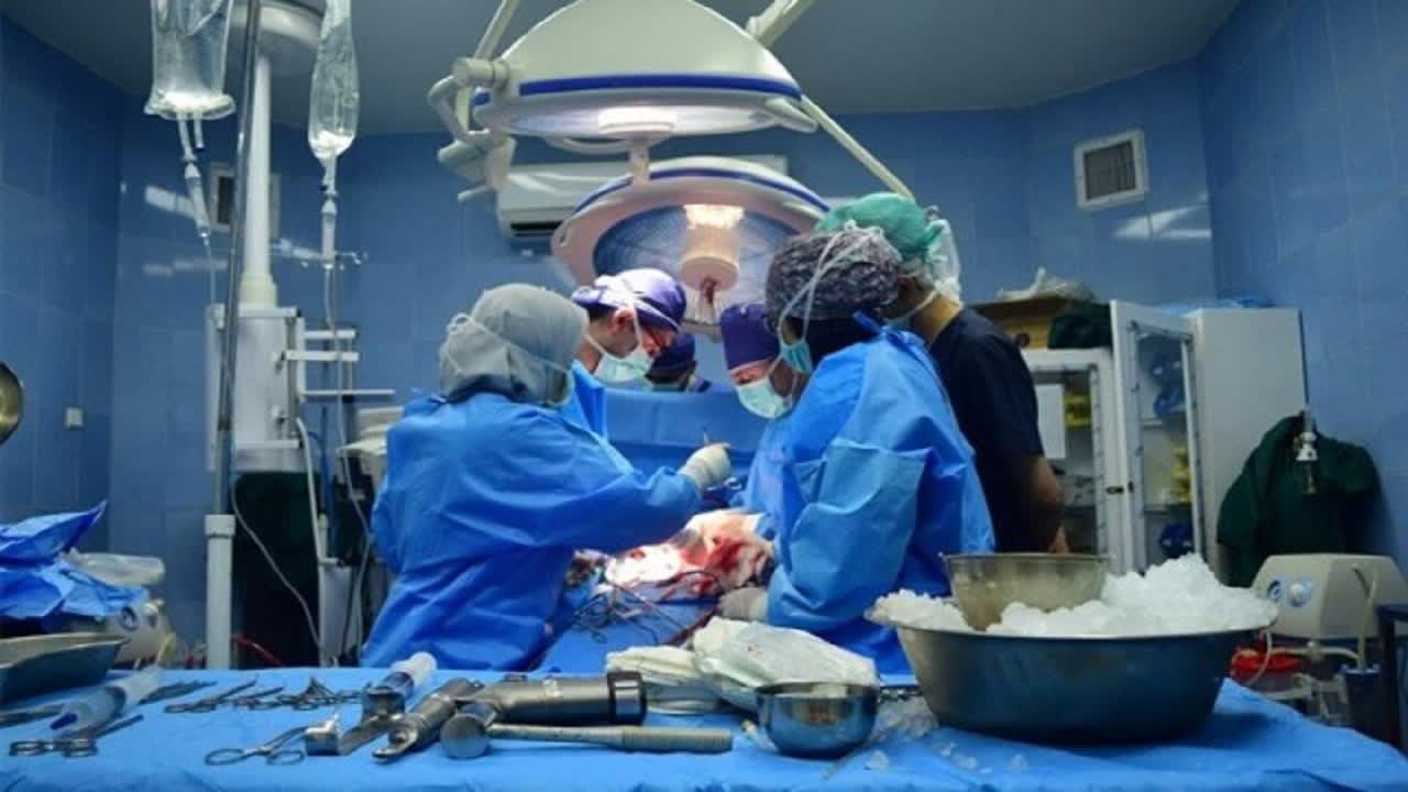  ثبت بیش از 250 اهدا عضو در استان یزد 