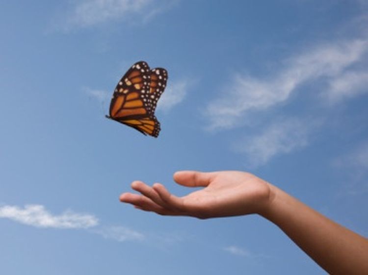 کمک ۱۰۰ میلیون تومانی به ستاد دیه استان یزد