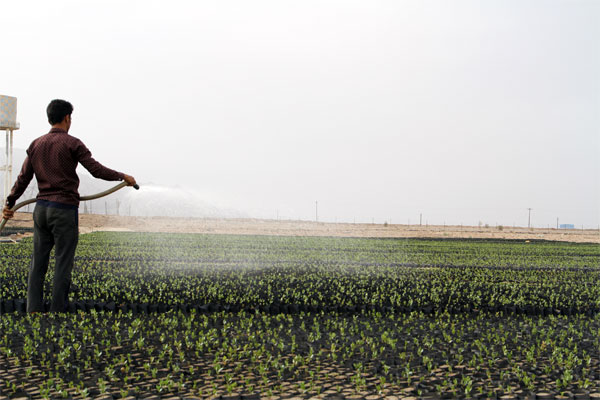 اعطای سه میلیارد تومان وام اشتغال به مددجویان شهرستان ابرکوه