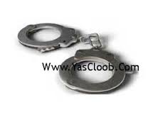 گذرنامه هاي جعلي مجوز عبور نبود!