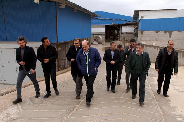 طلائی مقدم معاون استاندار و فرماندار ویژه از کارخانه کانسرام وسیمان بازدید کرد