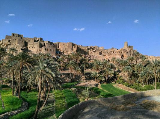 خبرنگار گروه مستند سازی شبکه پرس تی وی : طبس آن عروسي است كه همه ي خوبي ها را با هم دارد، هركس او را ديد ، سخت از او دل تواند كند 