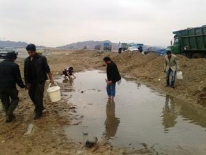 ماهی قرمز گرفتن از آب گل آلود