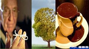 نقش شکلات داغ وخوراک‌های دارای مس در ارتقای حافظه وایجاد آلزایمر وامید به درمان آلزایمر با کشف پروتئینی جدید 