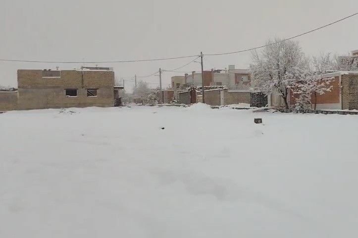 ببینید| بارش شدید برف مزرعه آخوند